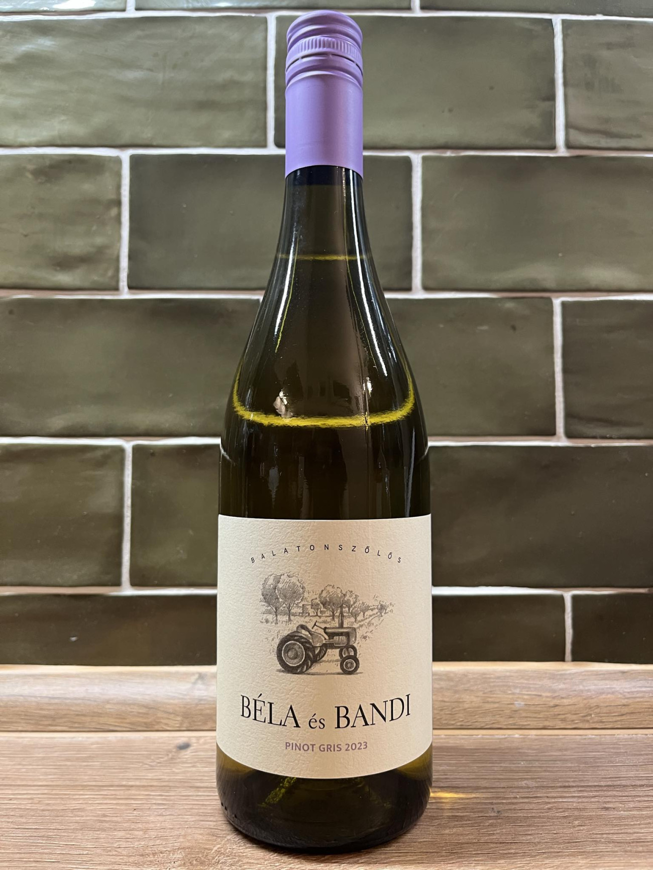 Béla és Bandi Pinot Gris